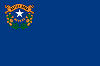 Image of the Nevada state flag.