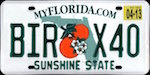 Official Florida state license plate.