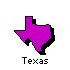 Texas State Map Icon