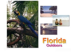 Florida Desktop Wallpaper
